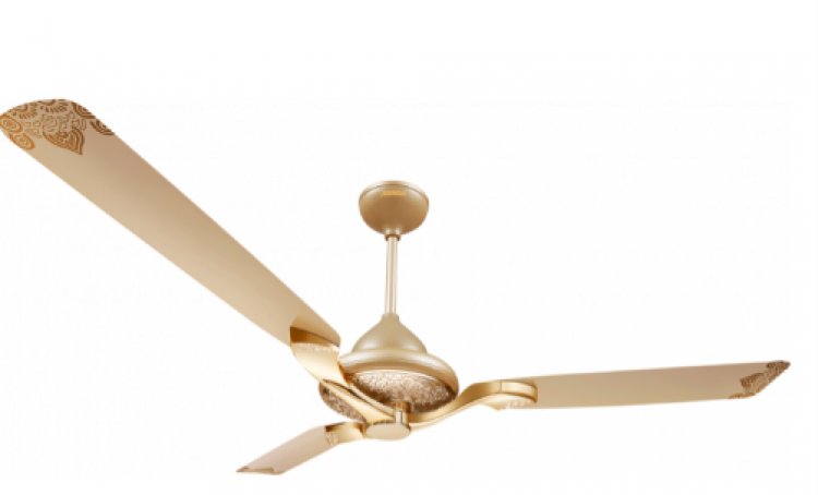 Here’s Why Finding the Right Ceiling Fan is Important