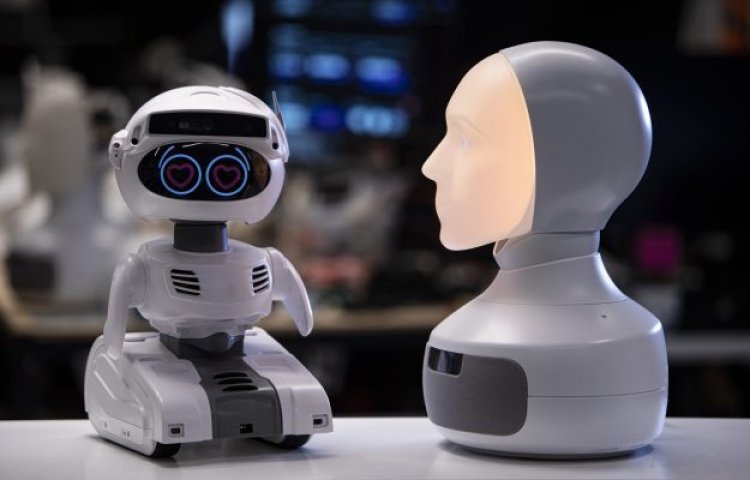 Social robotics company Furhat buys Sphero spin-out company Misty Robotics