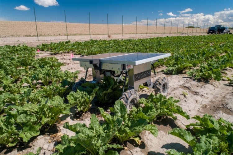 Aigen’s swarm of agtech robots want to make agriculture carbon positive