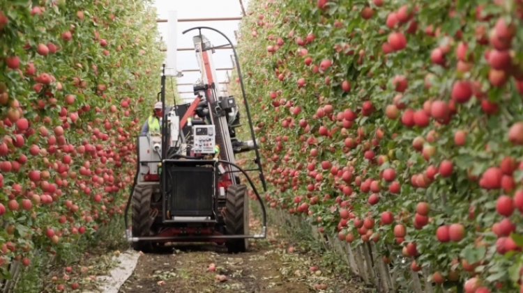 Abundant’s new owner looks to revive the apple-picking robot through equity crowdfunding