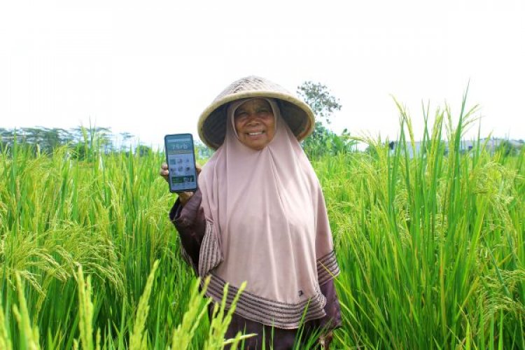 Indonesian agritech AgriAku reaps $6M in pre-Series A funding