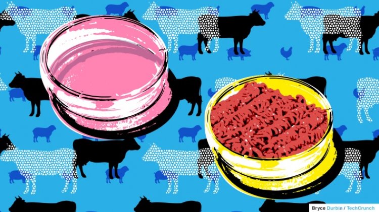 Unicorn Bio is building the hardware to scale cultivated meat from lab to table