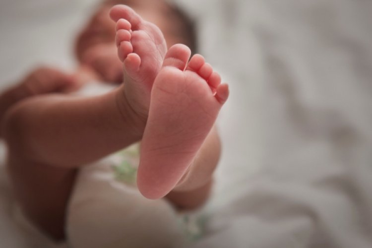 Fertility startup Hannah Life Technologies gets $5.15M Pre-Series A