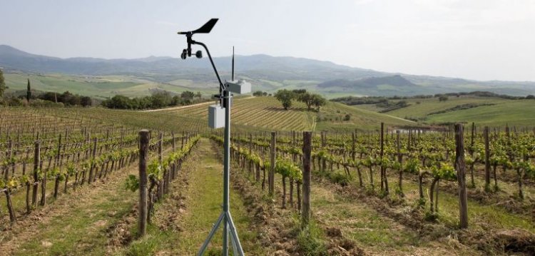 Sencrop predicts weather conditions at a microclimate level for farmers