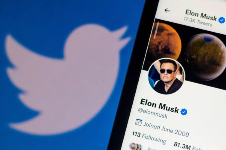 Daily Crunch: Musk pauses Twitter buy until platform proves less than 5% of users are spambots